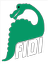 FIDI - Fiziko diena
